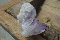 Natural Jacaranda Amethyst Clusters  x 3 From Mumbwa, Zambia - Toprock Gemstones and Minerals 