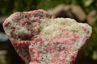 Natural Cobbed Rhodonite & Chromite Pieces x 9 From Rushinga, Zimbabwe - TopRock