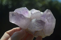 Natural Jacaranda Amethyst Clusters x 2 From Mumbwa, Zambia - TopRock