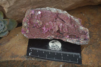 Natural Pink Salrose Cobaltion Dolomite Specimens x 6 From Kakanda, Congo