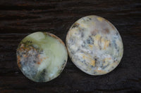 Polished Large Dendritic Opal Palm Stones  x 12 From Madagascar - Toprock Gemstones and Minerals 