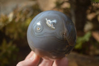 Polished Agate Spheres x 3 From Madagascar