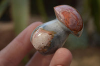 Polished Small Polychrome Jasper Mushrooms  x 37 From Madagascar