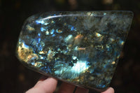 Polished Labradorite Standing Free Form With Blue & Gold Flash  x 1 From Tulear, Madagascar - Toprock Gemstones and Minerals 