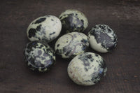 Polished Spotted Leopard Stone Gallets  x 6 From Zimbabwe