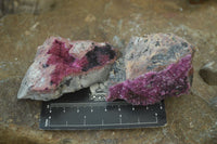 Natural Salrose Cobaltion Dolomite Specimens x 12 From Kakanda, Congo