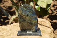 Polished Labradorite Standing Free Forms With Intense Blue & Gold Flash x 2 From Sakoany, Madagascar - TopRock