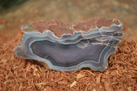 Polished Banded River Agate Nodules  x 6 From Zimbabwe - Toprock Gemstones and Minerals 