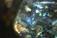 Polished Labradorite Standing Free Form With Blue & Gold Flash  x 1 From Tulear, Madagascar - Toprock Gemstones and Minerals 