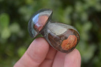 Polished Small Polychrome Jasper Mushrooms  x 37 From Madagascar