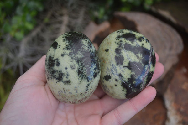 Polished Spotted Leopard Stone Gallets  x 6 From Zimbabwe