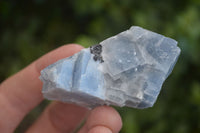 Natural New Sky Blue Calcite With Hematite Specimens  x 35 From Spitzkoppe, Namibia - Toprock Gemstones and Minerals 