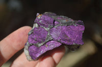 Natural Metallic Purpurite Cobbed Specimens x 12 From Erongo, Namibia