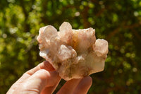 Natural Red Hematoid Phantom Quartz Specimens  x 6 From Karoi, Zimbabwe - TopRock