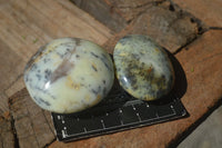 Polished Large Dendritic Opal Palm Stones  x 12 From Madagascar - Toprock Gemstones and Minerals 