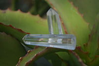 Polished Semi Optic Clear Quartz Jewellery Points x 35 From Madagascar