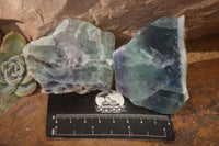 Polished  One Side Polished Watermelon Fluorite Pieces  x 12 From Uis, Namibia