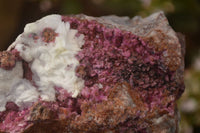 Natural Pink Salrose Cobaltion Dolomite Specimens x 6 From Kakanda, Congo