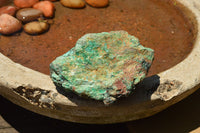 Natural Rough Blue Shattuckite Specimens  x 8 From Namibia - TopRock