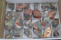 Natural Rough Cobbed Bloodstone Specimens  x 24 From Swaziland - TopRock