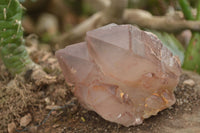 Natural Red Hematoid Quartz Specimens x 3 From Karoi, Zimbabwe - TopRock