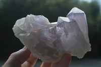 Natural Jacaranda Amethyst Clusters  x 3 From Mumbwa, Zambia - Toprock Gemstones and Minerals 