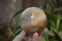 Polished Agate Spheres x 3 From Madagascar