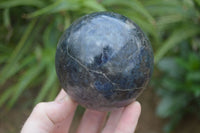 Polished Rare Iolite / Water Sapphire Spheres  x 2 From Northern Cape, South Africa - Toprock Gemstones and Minerals 