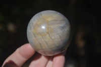 Polished Polychrome / Picasso Jasper Spheres  x 3 From Madagascar - Toprock Gemstones and Minerals 