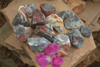 Natural Rough Cobbed Bloodstone Specimens  x 24 From Swaziland - TopRock