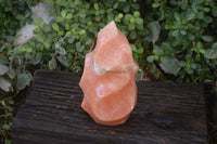 Polished Extra Large Orange Twist Calcite Flame  x 1 From Madagascar