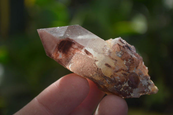 Natural Red Hematoid Quartz Specimens x 7 From Karoi, Zimbabwe