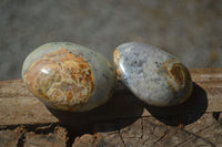 Polished Large Dendritic Opal Palm Stones  x 12 From Madagascar - Toprock Gemstones and Minerals 