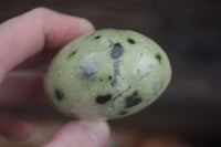 Polished Spotted Leopard Stone Gallets  x 12 From Nyanga & Shamva, Zimbabwe - Toprock Gemstones and Minerals 