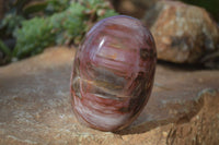 Polished Red Podocarpus Petrified Wood Standing Free Forms x 3 From Mahajanga, Madagascar