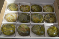 Polished Green Opal Galet / Palm Stones x 12 From Antsirabe, Madagascar