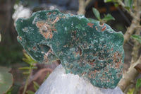 Polished Green Mtorolite / Chrome Chrysoprase Plates  x 2 From Zimbabwe - Toprock Gemstones and Minerals 