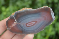 Polished Banded River Agate Nodules  x 6 From Zimbabwe - Toprock Gemstones and Minerals 