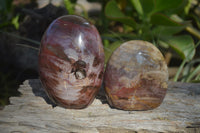 Polished Red Podocarpus Petrified Wood Standing Free Forms x 3 From Mahajanga, Madagascar