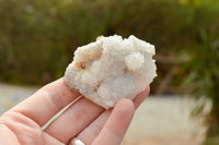 Natural Rare Mountain "Snow" Quartz Specimens  x 15 From Alberts Mountain, Lesotho - TopRock