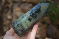 Polished Stromatolite Points  x 3 From Madagascar