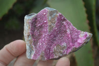 Natural Salrose Cobaltion Dolomite Specimens x 12 From Kakanda, Congo