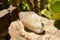 Natural Red Hematoid Phantom Quartz Specimens  x 6 From Karoi, Zimbabwe - TopRock