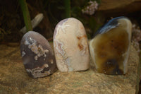 Polished Mixed Agate Standing Free Forms  x 3 From Madagascar