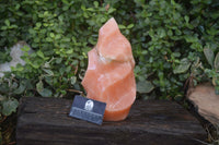 Polished Extra Large Orange Twist Calcite Flame  x 1 From Madagascar