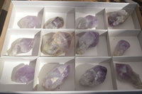 Natural Single Jacaranda Amethyst Crystals x 12 From Mumbwe, Zambia