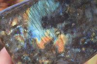 Polished Labradorite Standing Free Form With Blue & Gold Flash  x 1 From Tulear, Madagascar - Toprock Gemstones and Minerals 