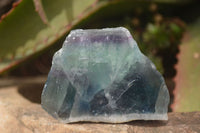 Polished  One Side Polished Watermelon Fluorite Pieces  x 12 From Uis, Namibia