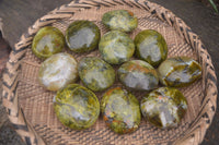 Polished Green Opal Galet / Palm Stones x 12 From Antsirabe, Madagascar