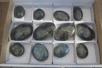 Polished  Flashy Labradorite Palm Stones  x 12 From Tulear, Madagascar